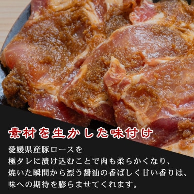 お肉博士厳選の愛媛県産豚肉ロース オリジナル極タレ漬けトンテキ「タレ漬けとんよ」3枚×3パック冷凍