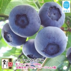 ystz{ɂ͂ nu[x[1500g nu[x[W4rZbg