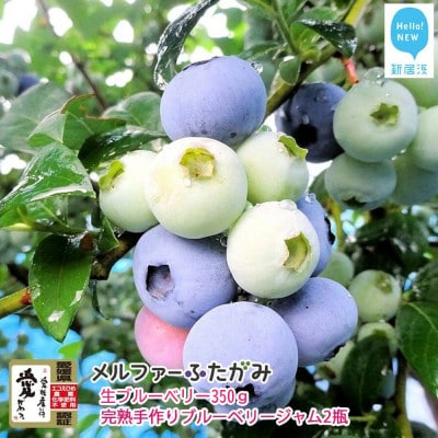 【先行受付】旬にお届け 完熟生ブルーベリー約350g 完熟手作りブルーベリージャム2瓶セット