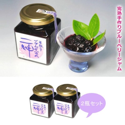 【先行受付】旬にお届け 完熟生ブルーベリー約350g 完熟手作りブルーベリージャム2瓶セット