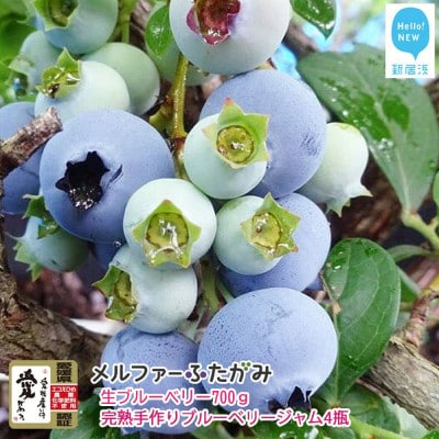 【先行受付】旬にお届け 完熟生ブルーベリー約700g 完熟手作りブルーベリージャム4瓶セット