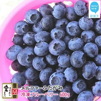 【先行受付】メルファーふたがみの完熟ブルーベリー約600g(冷凍)毎年人気の冷凍ブルーベリーです
