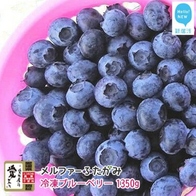 【先行受付】メルファーふたがみの完熟ブルーベリー1350g(冷凍) 毎年人気の冷凍ブルーベリーです