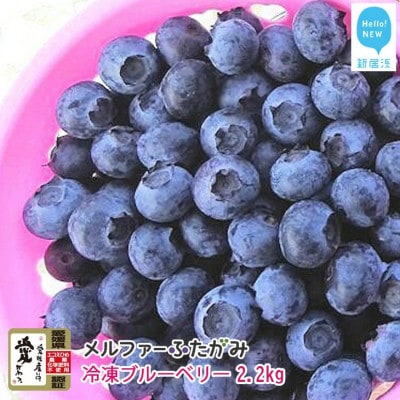 【先行受付】メルファーふたがみの完熟ブルーベリー2.2kg(冷凍) 毎年人気の冷凍ブルーベリーです