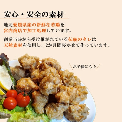 新居のざんき (鶏の唐揚げ) むね ・ ももセット 合計2kg (500g×4パック) 国産 冷凍