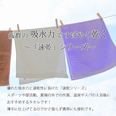 【今治タオル】Hello!NEW 速乾シリーズ バスタオル 10枚セット(キャメル)(ご自宅用)