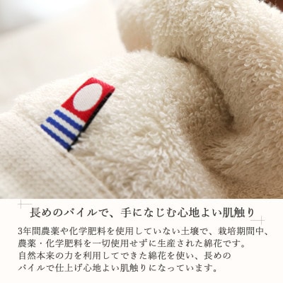 【今治タオル】高品質タオル MAMMA バスタオル 10枚 セット アイボリー (ご自宅用)