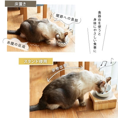 ペット用 フードボウルスタンドセット 国産ヒノキ 「ネコトキ」(シングル)ホワイト