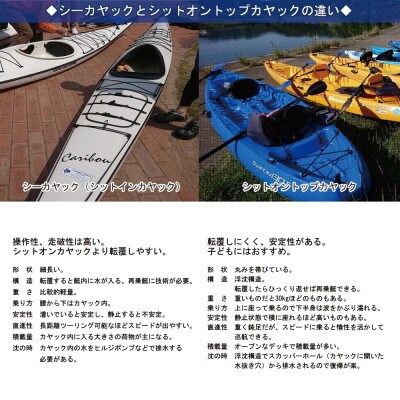 ファミリー向け　新居大島シットオントップカヤック体験　1/2DAY(大人1名)