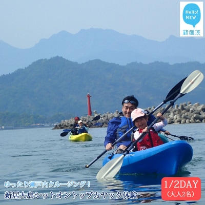 ファミリー向け　新居大島シットオントップカヤック体験　1/2DAY(大人2名)