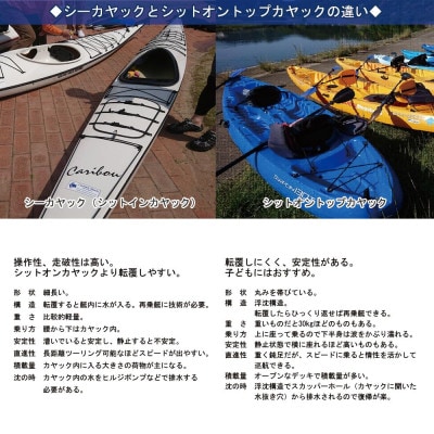 ファミリー向け　新居大島シットオントップカヤック体験　1/2DAY(大人2名)