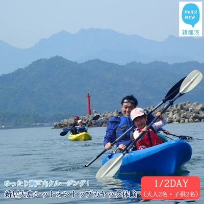 ファミリー向け　新居大島シットオントップカヤック体験　1/2DAY(大人2名・子供2名)