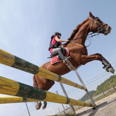 初心者歓迎 マンツーマン乗馬教室30分×4回 エヒメ乗馬クラブ(小学生以上1名)