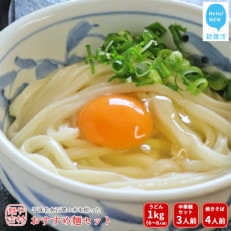 本格 冷凍うどん 平成名水百選の水を使った麺や吉村のおすすめ麺セット