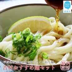 【のし付き】本格 冷凍うどん 平成名水百選の水を使った「麺や吉村」のおすすめ麺セット