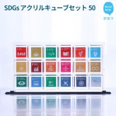 SDGs アクリルキューブセット50 キューブ(50mm) &times;18個 専用スライド型ケース 専用台