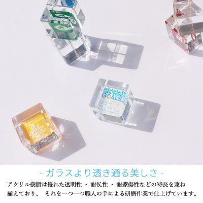 SDGs アクリルキューブセット50 キューブ(50mm) ×18個 専用スライド型ケース 専用台