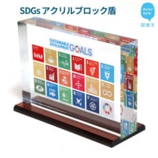 SDGs アクリルブロック盾 (厚さ40×幅210×高さ142mm) 高級専用台付き