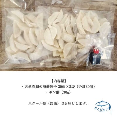 愛媛県産 瀬戸内海 天然 真鯛の海鮮餃子 20個×3袋 合計60個 生ギョーザ 冷凍 国産
