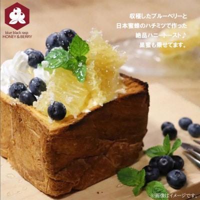 日本蜜蜂 100% 純粋 はちみつ 非加熱 240g×2本 国産