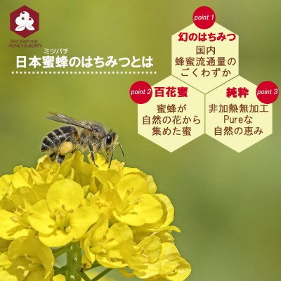 日本蜜蜂 100% 純粋 はちみつ 非加熱 240g×1本 国産
