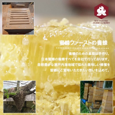 日本蜜蜂 100% 純粋 はちみつ 非加熱 240g×1本 国産