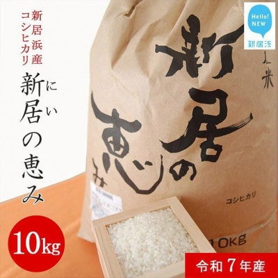 【新米 令和7年産】えひめ未来農業協同組合 ブランド米 「新居の恵み (コシヒカリ) 」10kg