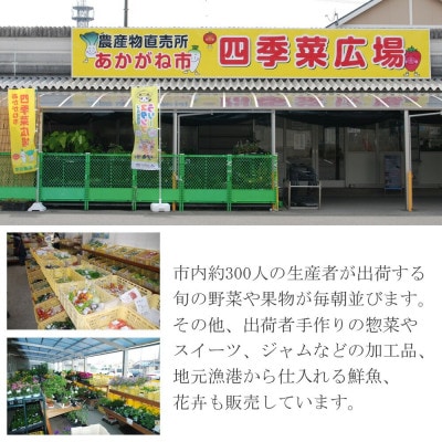 【新米 令和7年産】えひめ未来農業協同組合 ブランド米 「新居の恵み (コシヒカリ) 」10kg