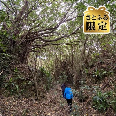 【さとふる限定】燐鉱石採掘場跡トレッキング体験ツアー 計1回