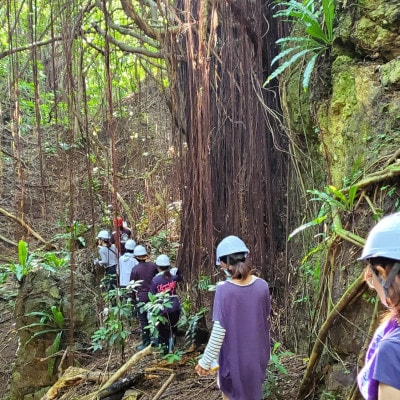 【さとふる限定】燐鉱石採掘場跡トレッキング体験ツアー 計1回
