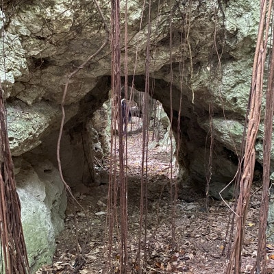 【さとふる限定】燐鉱石採掘場跡トレッキング体験ツアー 計1回