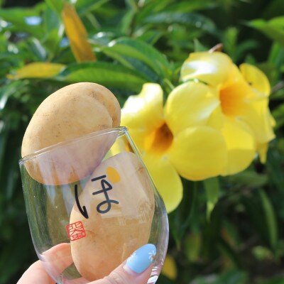 じゃがいも焼酎北大東(樽)、グラスセット