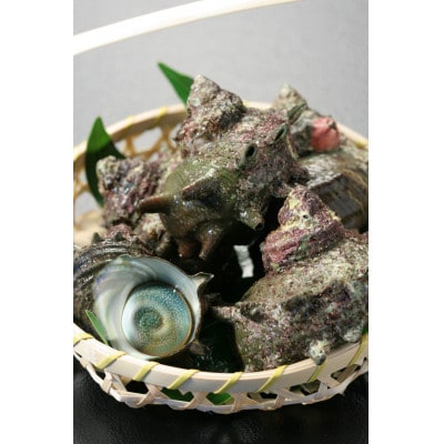 豪華海産三種セット