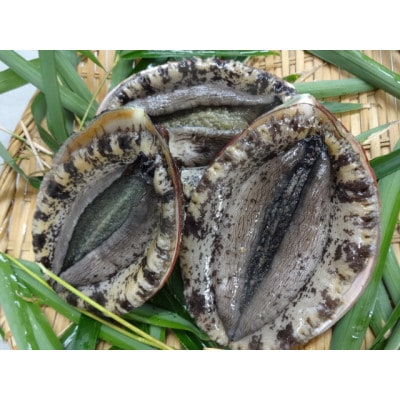 活あわび　約450g