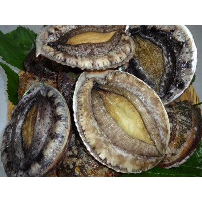 活あわび　約450g