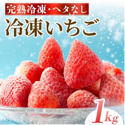 完熟冷凍いちご 1Kg BabyBerryFarm