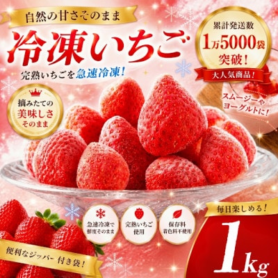 完熟冷凍いちご 1Kg BabyBerryFarm