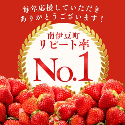 完熟冷凍いちごBabyBerryFarm