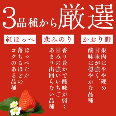 完熟冷凍いちごBabyBerryFarm