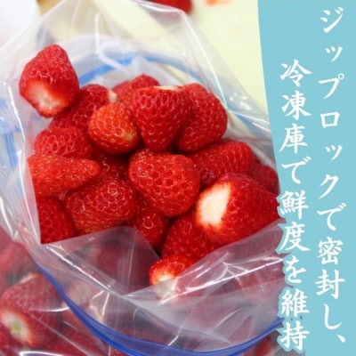 完熟冷凍いちごBabyBerryFarm