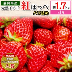 たっぷり満タンいちご 約1.7kg(6.5パック相当)(第32回静岡県いちご果実品評会入賞)