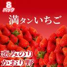 完熟いちご(約230g×8パック) 恋みのり、かおり野　から厳選【2026年発送】
