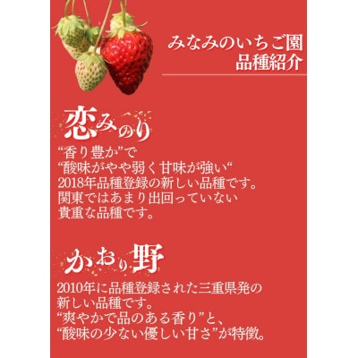 完熟いちご280g×2パック(DXパック)　かおり野【2025年発送】