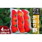 完熟いちご280g×4パック(DXパック)　かおり野【2026年発送】