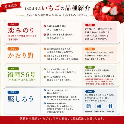 いちご(小粒中粒サイズ)(約230g×8パック) 【2027年発送】