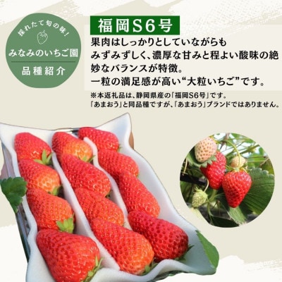 完熟いちご　福岡S6号　280g×2パック(DXパック)【2027年発送】