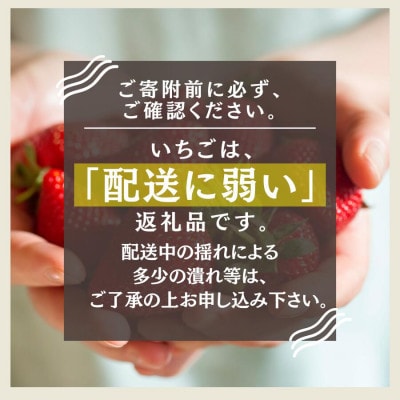 完熟いちご　堅しろう　280g×2パック(DXパック)【2027年発送】