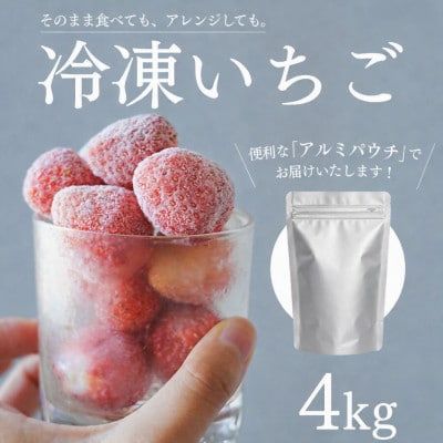 完熟冷凍イチゴ　4kg(約15.2パック相当)