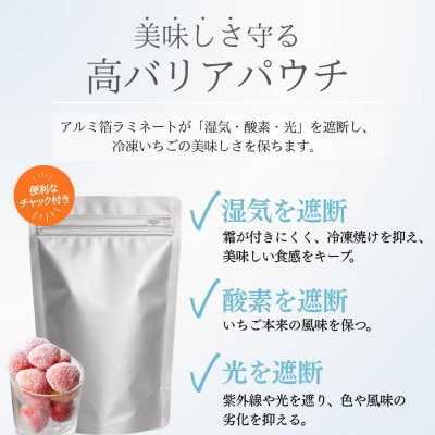 完熟冷凍イチゴ　4kg(約15.2パック相当)