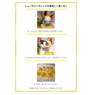 湯の花　伊豆の香りニューサマーオレンジ5kg箱